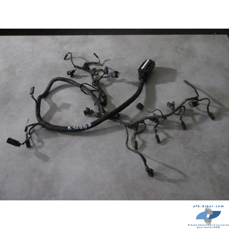 Faisceau d'injection de BMW k 1200 s / r   (K40 / K43)